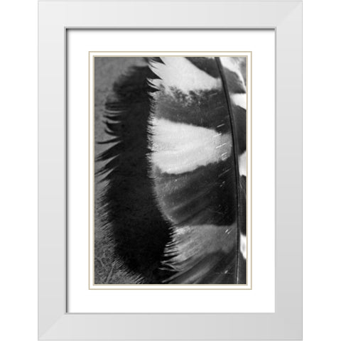 Feather Shadow III White Modern Wood Framed Art Print with Double Matting by Van Swearingen, Debra