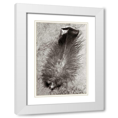 Feather Shadow IV White Modern Wood Framed Art Print with Double Matting by Van Swearingen, Debra