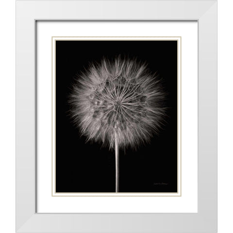 Dandelion Fluff on Black White Modern Wood Framed Art Print with Double Matting by Van Swearingen, Debra