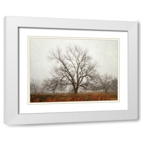 Morning Calm I White Modern Wood Framed Art Print with Double Matting by Van Swearingen, Debra