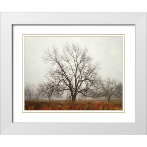 Morning Calm I White Modern Wood Framed Art Print with Double Matting by Van Swearingen, Debra
