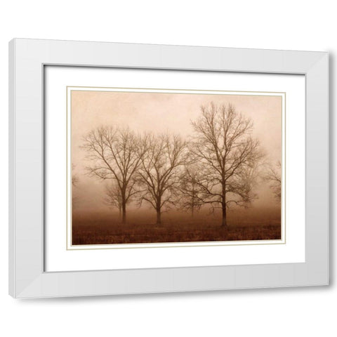 Morning Calm III White Modern Wood Framed Art Print with Double Matting by Van Swearingen, Debra