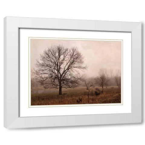 Morning Calm IV White Modern Wood Framed Art Print with Double Matting by Van Swearingen, Debra