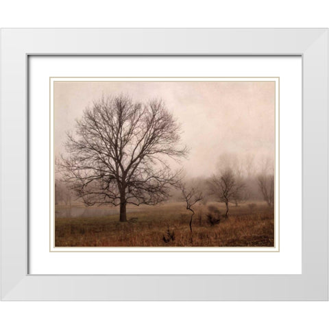 Morning Calm IV White Modern Wood Framed Art Print with Double Matting by Van Swearingen, Debra