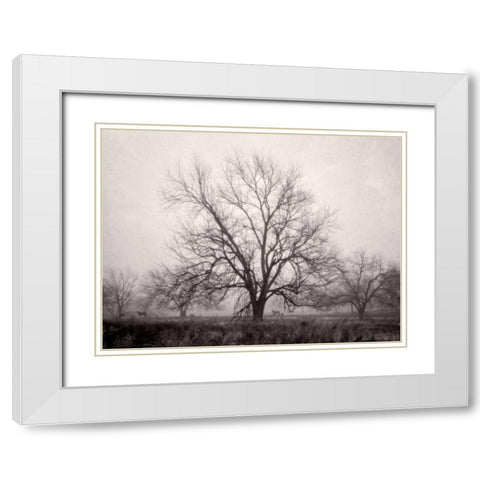 Morning Calm I BW White Modern Wood Framed Art Print with Double Matting by Van Swearingen, Debra