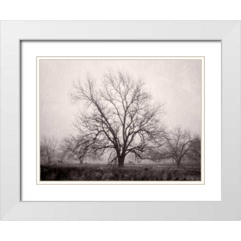 Morning Calm I BW White Modern Wood Framed Art Print with Double Matting by Van Swearingen, Debra