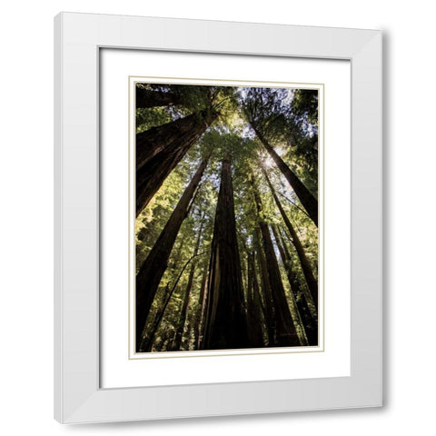 The Stand White Modern Wood Framed Art Print with Double Matting by Van Swearingen, Debra