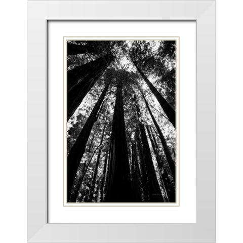 The Stand BW White Modern Wood Framed Art Print with Double Matting by Van Swearingen, Debra