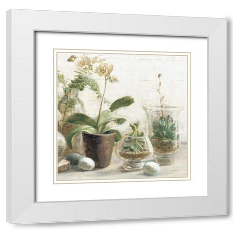 Greenhouse Orchids on Shiplap III White Modern Wood Framed Art Print with Double Matting by Nai, Danhui