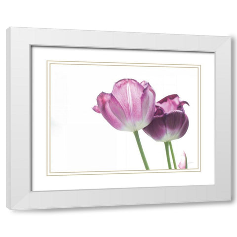 Tulip Time I White Modern Wood Framed Art Print with Double Matting by Aledanda