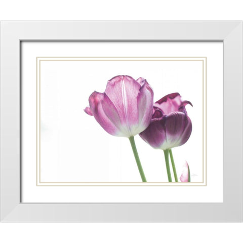 Tulip Time I White Modern Wood Framed Art Print with Double Matting by Aledanda