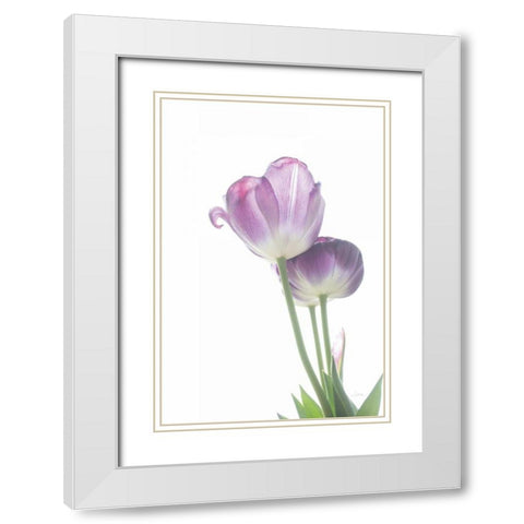 Tulip Time III White Modern Wood Framed Art Print with Double Matting by Aledanda