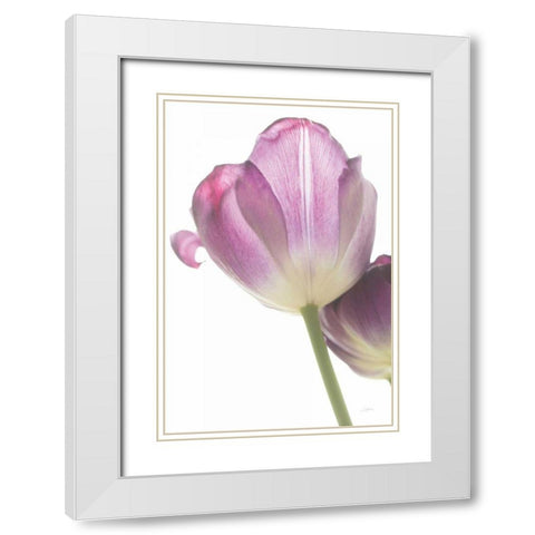 Tulip Time IV White Modern Wood Framed Art Print with Double Matting by Aledanda