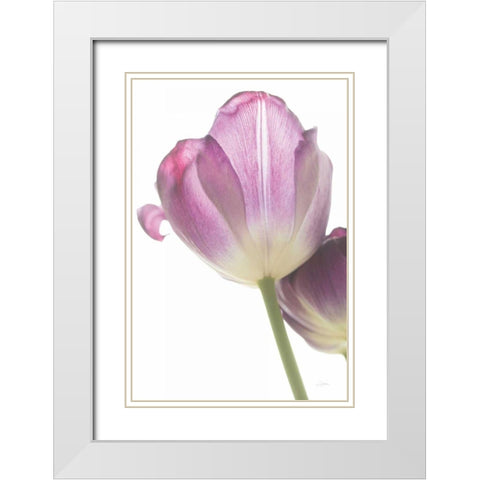 Tulip Time IV White Modern Wood Framed Art Print with Double Matting by Aledanda