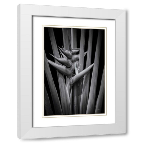 Tropical I White Modern Wood Framed Art Print with Double Matting by Aledanda