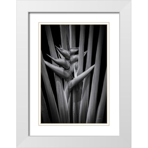 Tropical I White Modern Wood Framed Art Print with Double Matting by Aledanda