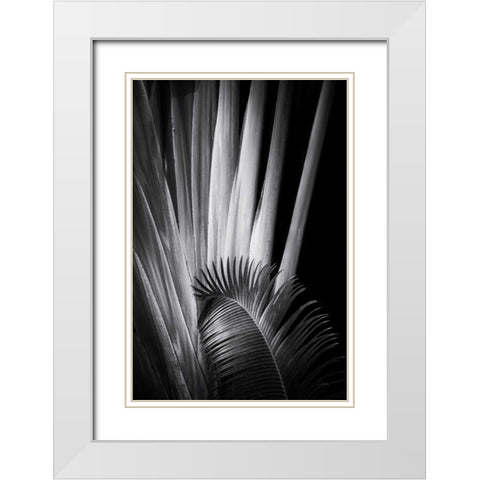 Tropical II White Modern Wood Framed Art Print with Double Matting by Aledanda