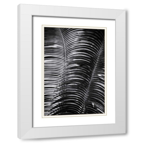 Tropical III White Modern Wood Framed Art Print with Double Matting by Aledanda