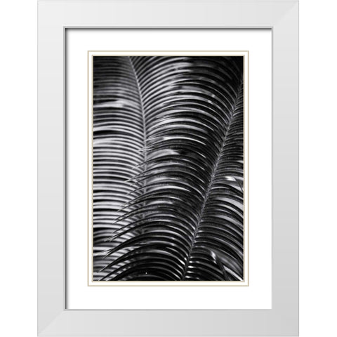 Tropical III White Modern Wood Framed Art Print with Double Matting by Aledanda