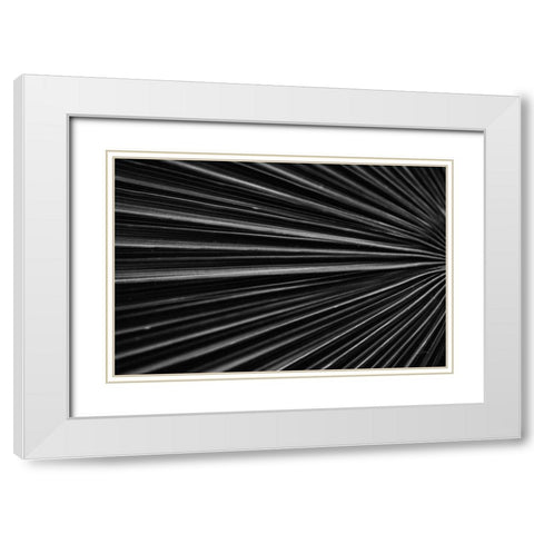 Tropical IV White Modern Wood Framed Art Print with Double Matting by Aledanda