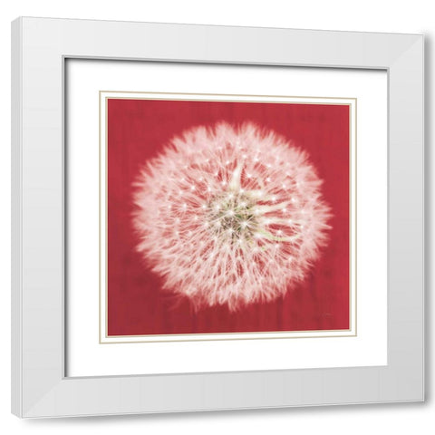 Dandelion on Red I White Modern Wood Framed Art Print with Double Matting by Aledanda