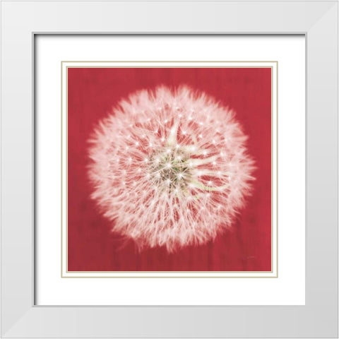 Dandelion on Red I White Modern Wood Framed Art Print with Double Matting by Aledanda