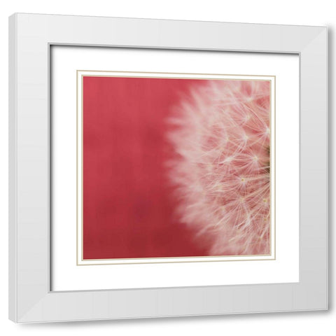 Dandelion on Red II White Modern Wood Framed Art Print with Double Matting by Aledanda