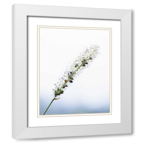 Seeds and Water I White Modern Wood Framed Art Print with Double Matting by Aledanda
