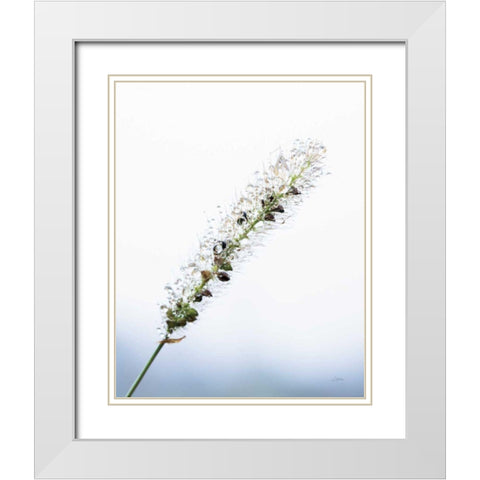 Seeds and Water I White Modern Wood Framed Art Print with Double Matting by Aledanda