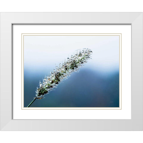 Seeds and Water III White Modern Wood Framed Art Print with Double Matting by Aledanda