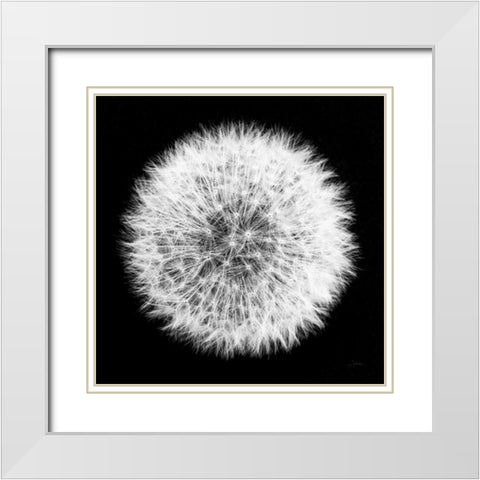 Dandelion on Black I White Modern Wood Framed Art Print with Double Matting by Aledanda