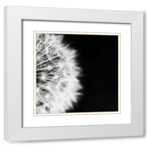 Dandelion on Black II White Modern Wood Framed Art Print with Double Matting by Aledanda