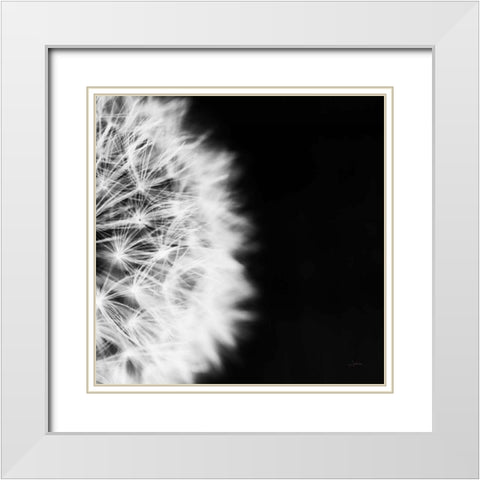 Dandelion on Black II White Modern Wood Framed Art Print with Double Matting by Aledanda