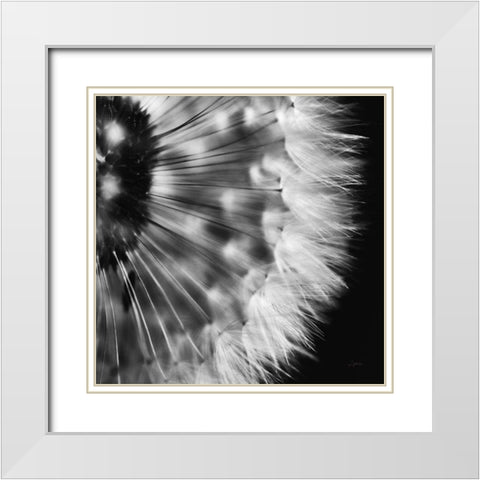 Dandelion on Black III White Modern Wood Framed Art Print with Double Matting by Aledanda