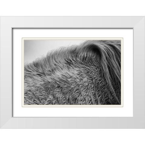 Horse Hair White Modern Wood Framed Art Print with Double Matting by Aledanda