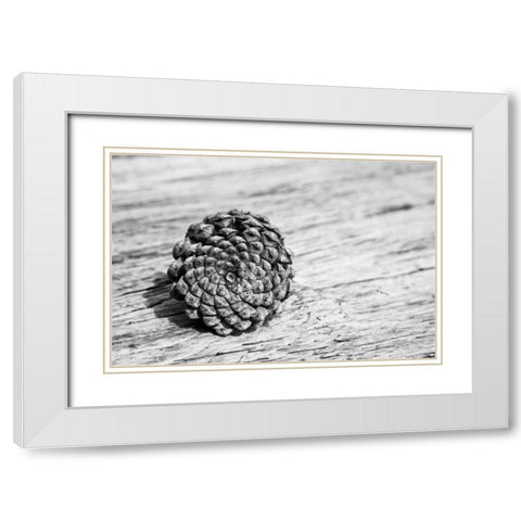 Pinecone White Modern Wood Framed Art Print with Double Matting by Aledanda