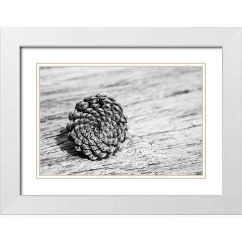 Pinecone White Modern Wood Framed Art Print with Double Matting by Aledanda