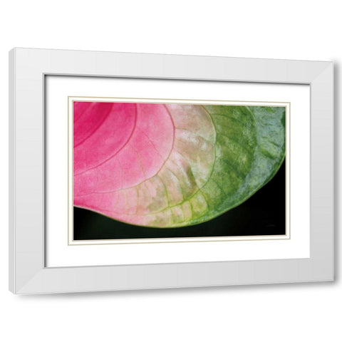 Pink and Green White Modern Wood Framed Art Print with Double Matting by Aledanda