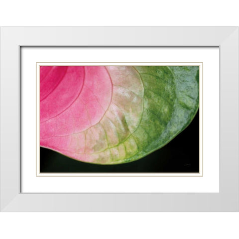 Pink and Green White Modern Wood Framed Art Print with Double Matting by Aledanda