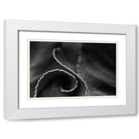 Circling Around White Modern Wood Framed Art Print with Double Matting by Aledanda