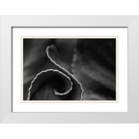 Circling Around White Modern Wood Framed Art Print with Double Matting by Aledanda