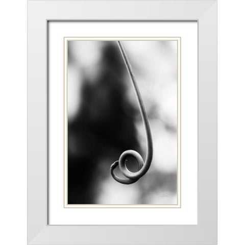 Curly Cue White Modern Wood Framed Art Print with Double Matting by Aledanda