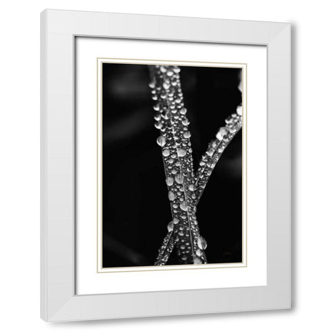 Water Droplets White Modern Wood Framed Art Print with Double Matting by Aledanda