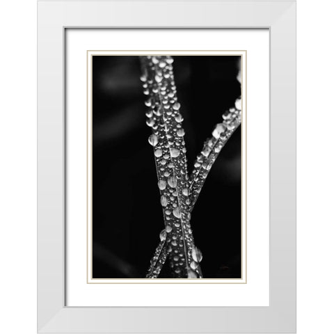 Water Droplets White Modern Wood Framed Art Print with Double Matting by Aledanda