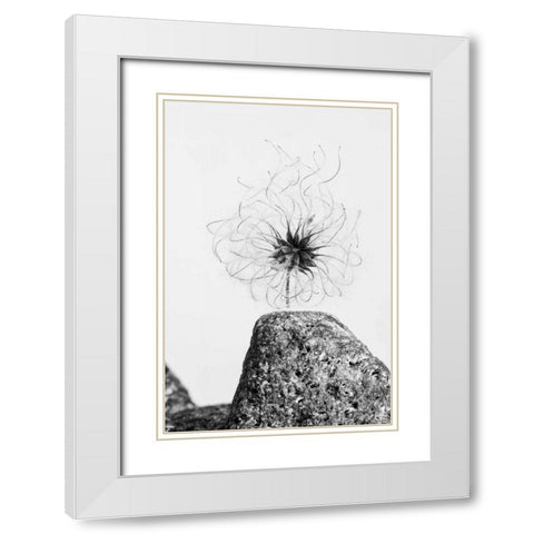 Electrifying White Modern Wood Framed Art Print with Double Matting by Aledanda