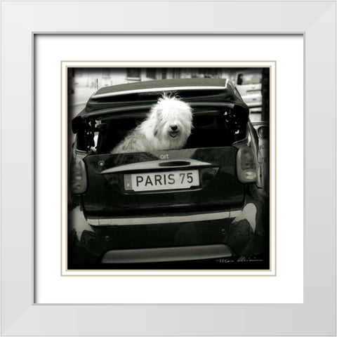 Paris Dog I White Modern Wood Framed Art Print with Double Matting by Olivier, Marc