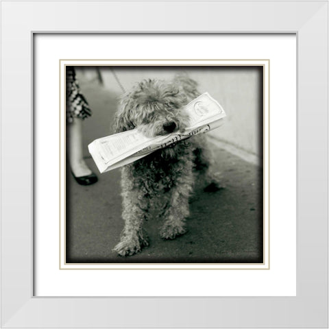 Paris Dog II White Modern Wood Framed Art Print with Double Matting by Olivier, Marc