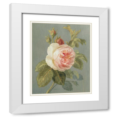 Heirloom Pink Rose White Modern Wood Framed Art Print with Double Matting by Nai, Danhui