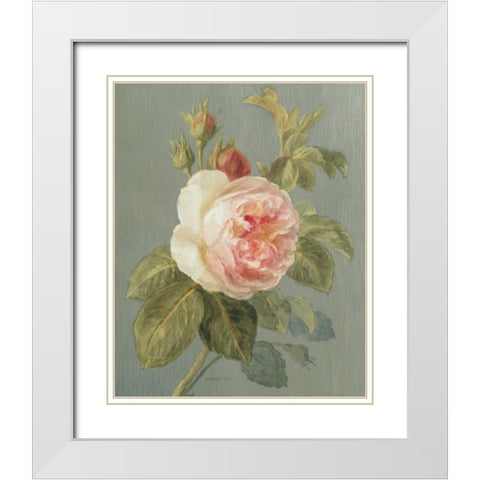 Heirloom Pink Rose White Modern Wood Framed Art Print with Double Matting by Nai, Danhui