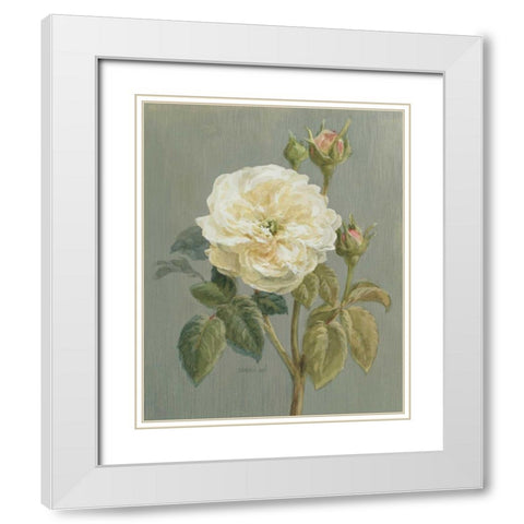 Heirloom White Rose White Modern Wood Framed Art Print with Double Matting by Nai, Danhui